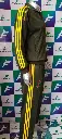 IMG_20230311_103344.webp