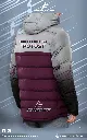 PK paq2 AF (2).webp