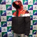 PK paq2 D (4).webp