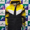 PK paq2 E (4).webp