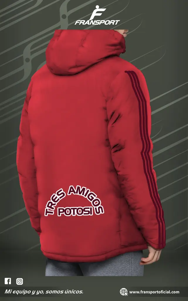 PK paq 3 Y (2).webp