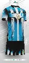 Poleras y corto Fútbol Diseño Fransport Personalizable full sublimado